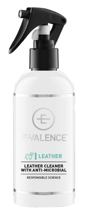 E-Valence