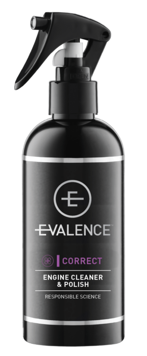 E-Valence