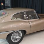 Polished & Waxed by E-Valence